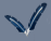 CoScripter